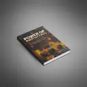 The Power of Prototypes - Book1.webp
